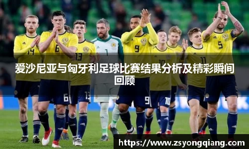 爱沙尼亚与匈牙利足球比赛结果分析及精彩瞬间回顾